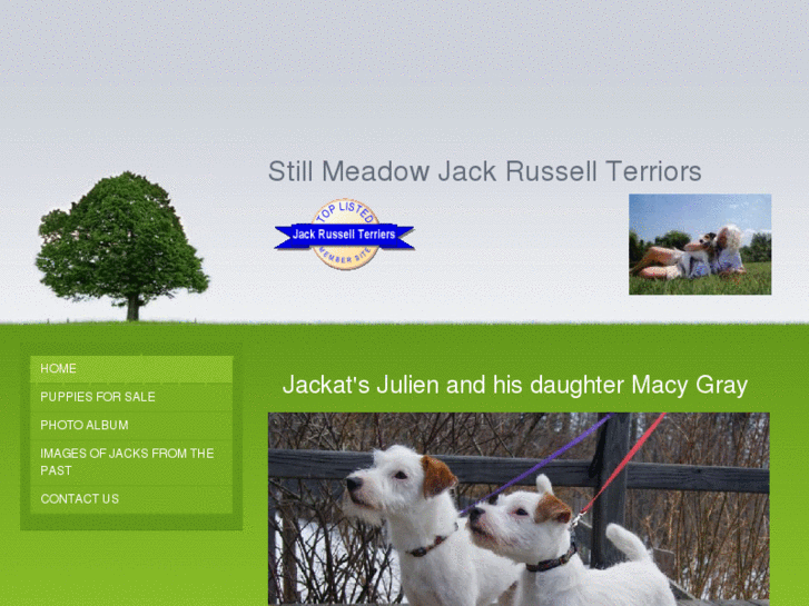 www.stillmeadowjrt.com