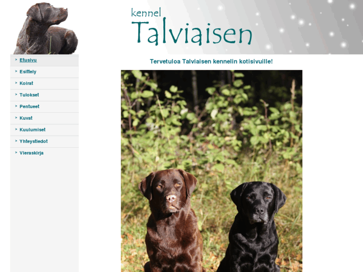 www.talviaisen.com