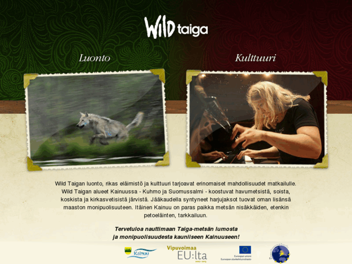 www.wildtaiga.fi