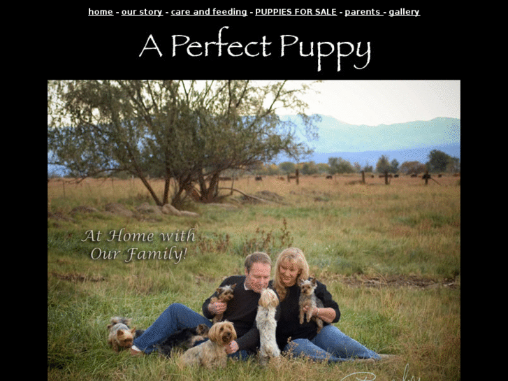 www.aperfectpuppy.com