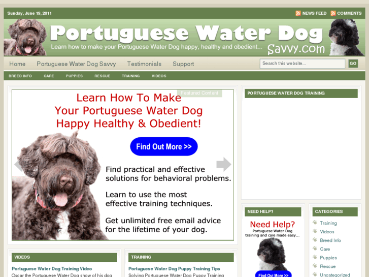 www.portuguesewaterdogsavvy.com