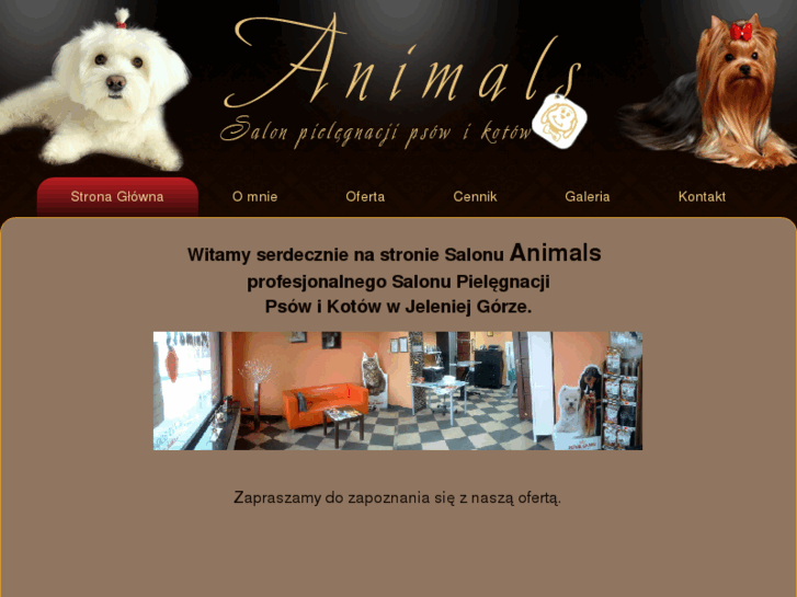 www.salon-animals.pl