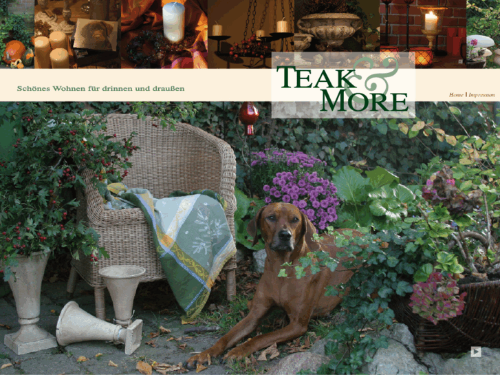 www.teak-and-more.net