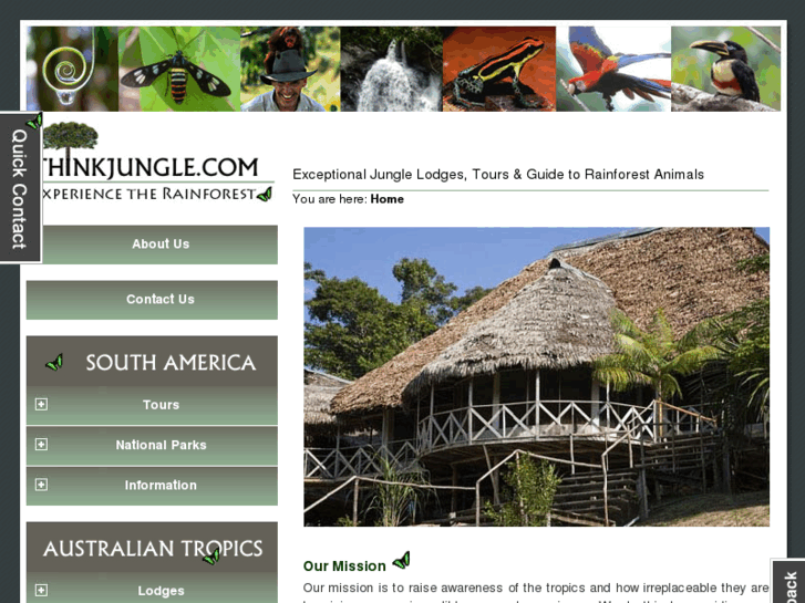 www.thinkjungle.com