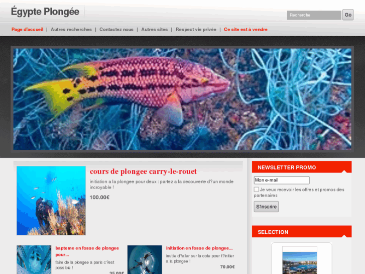 www.egypte-plongee.com