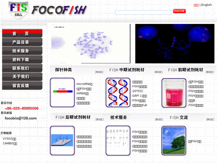 www.focofish.com