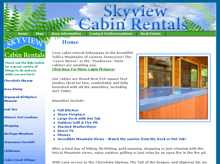 www.skyviewcabinrentals.com