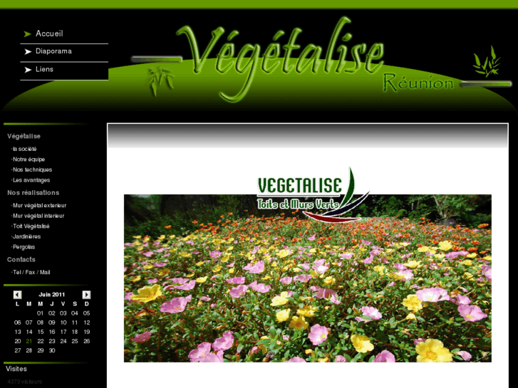 www.vegetalise-reunion.com