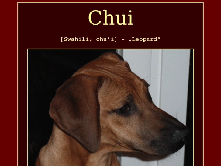 www.chui.de