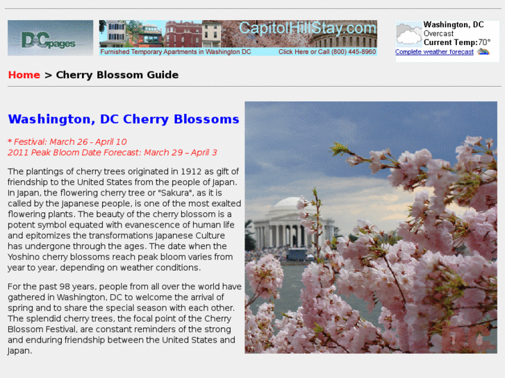 www.dccherryblossoms.com