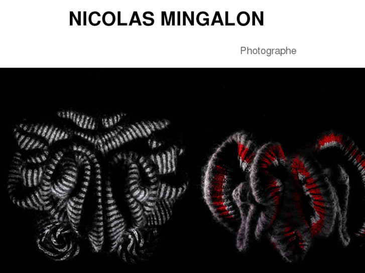 www.nicolasmingalon.com