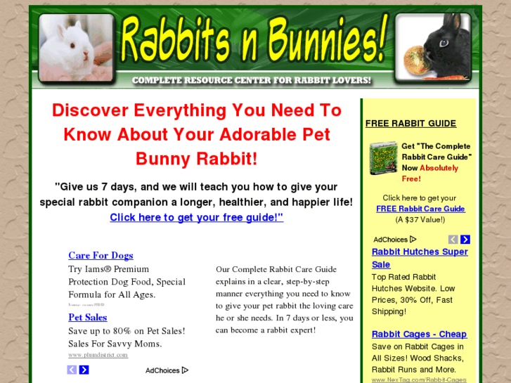 www.rabbits-n-bunnies.com