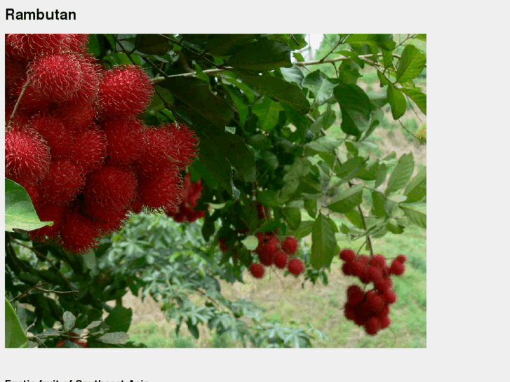 www.rambutan.com