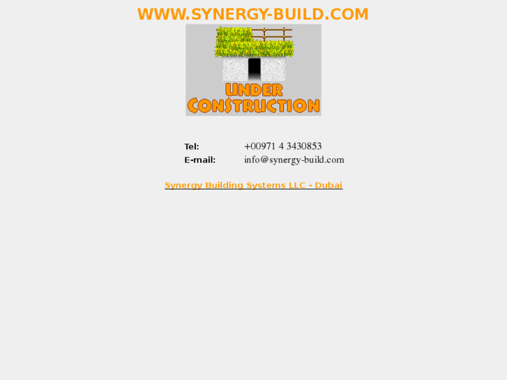 www.synergy-build.com