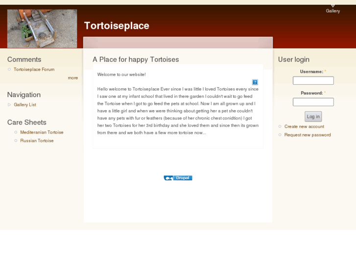 www.tortoiseplace.com