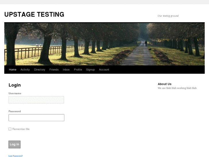 www.upstagetesting.info