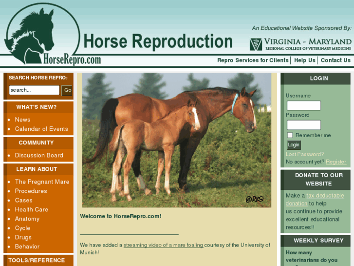 www.horserepro.com