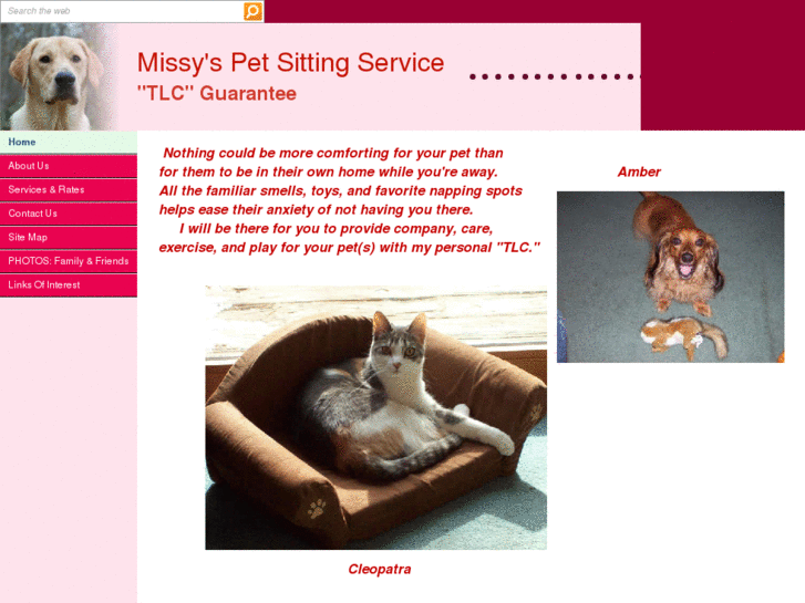 www.missyspetsitting.com