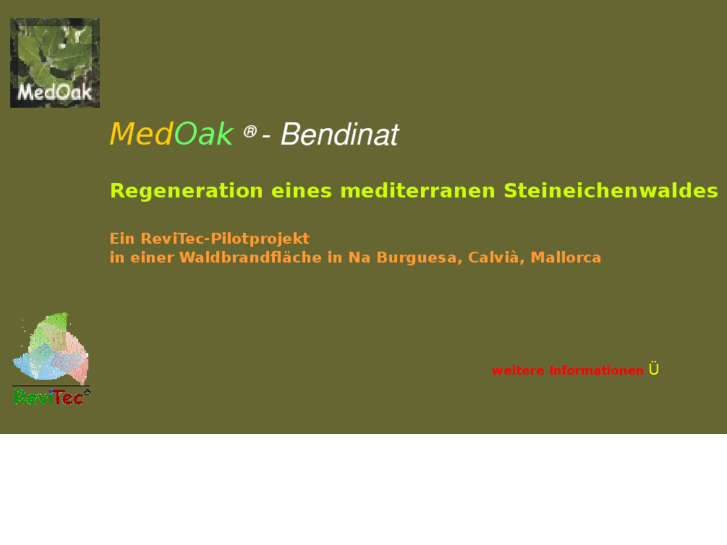 www.medoak.info