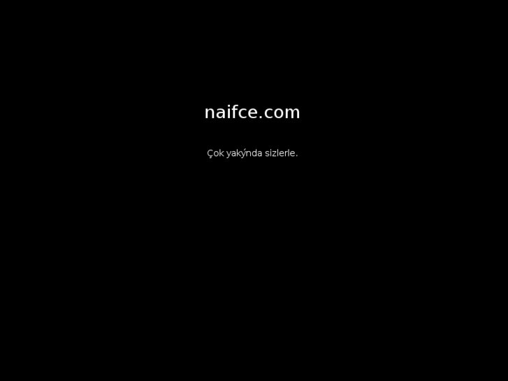 www.naifce.com