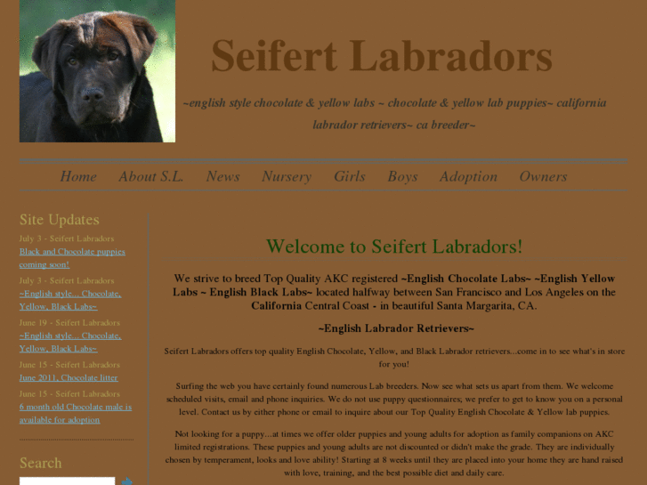 www.seifertlabradors.com