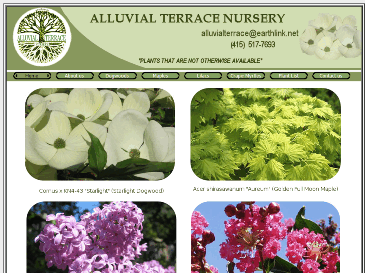 www.alluvialterracenursery.com