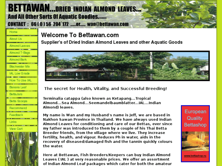 www.bettawan.com