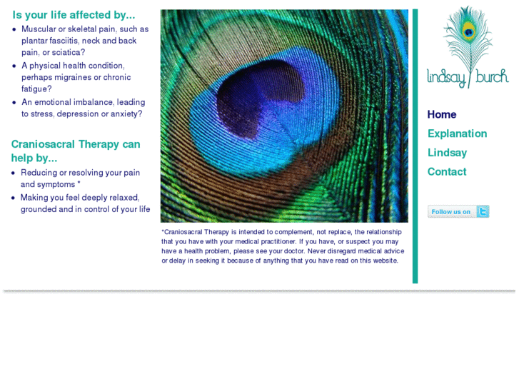 www.craniosacralchicago.com