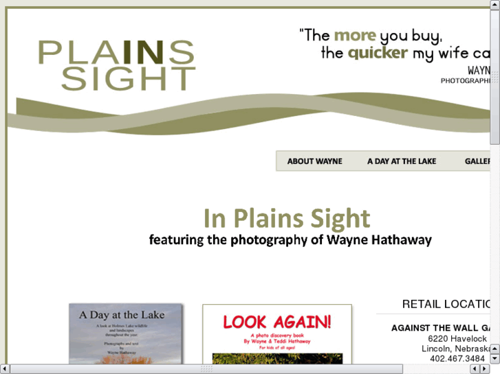 www.inplainssight.com