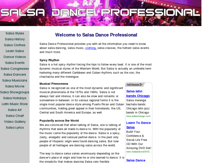 www.salsa-dance-professional.com