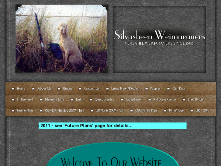 www.silvasheen.com