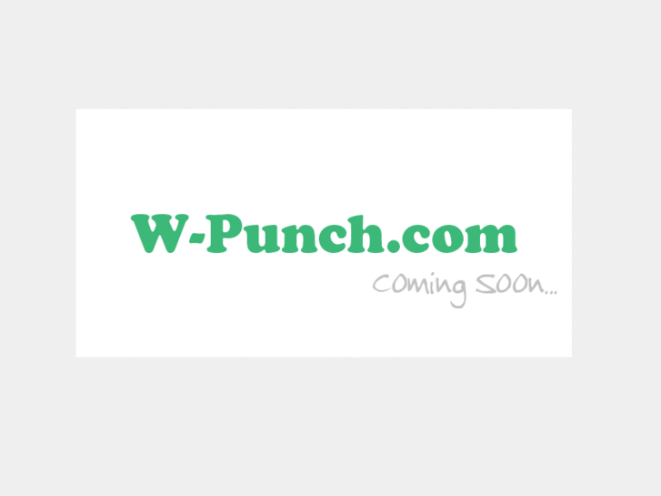 www.w-punch.com