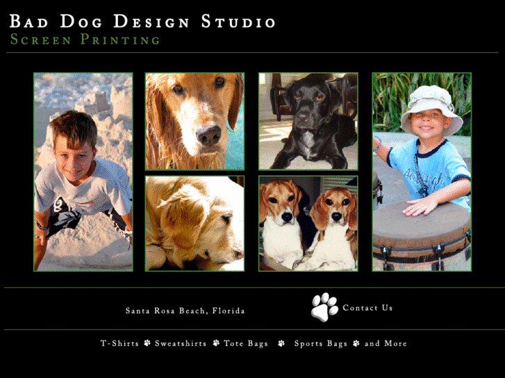 www.baddogdesignstudio.com