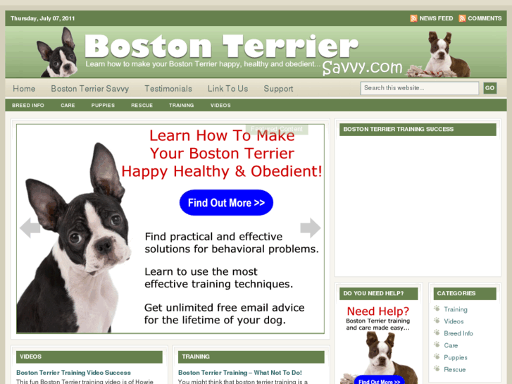 www.bostonterriersavvy.com