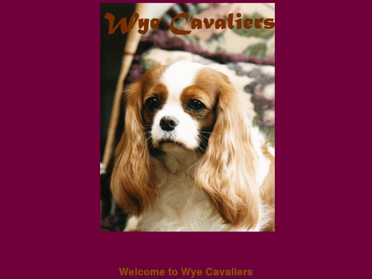 www.wyecavaliers.com