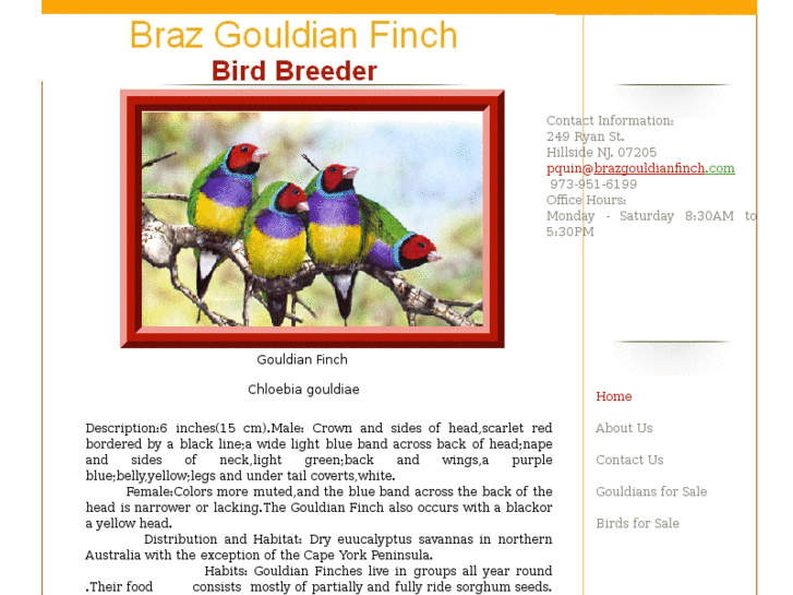 www.brazgouldianfinch.com