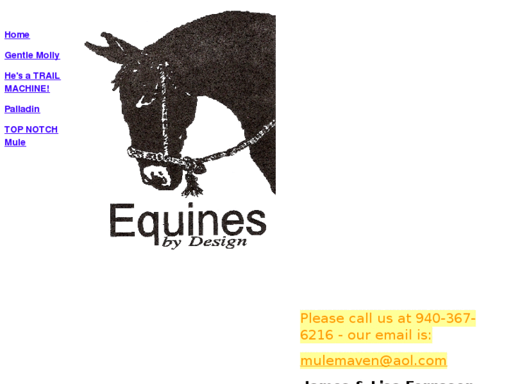 www.equinesbydesign.org