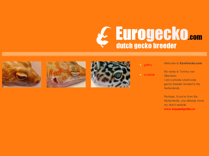 www.eurogecko.com