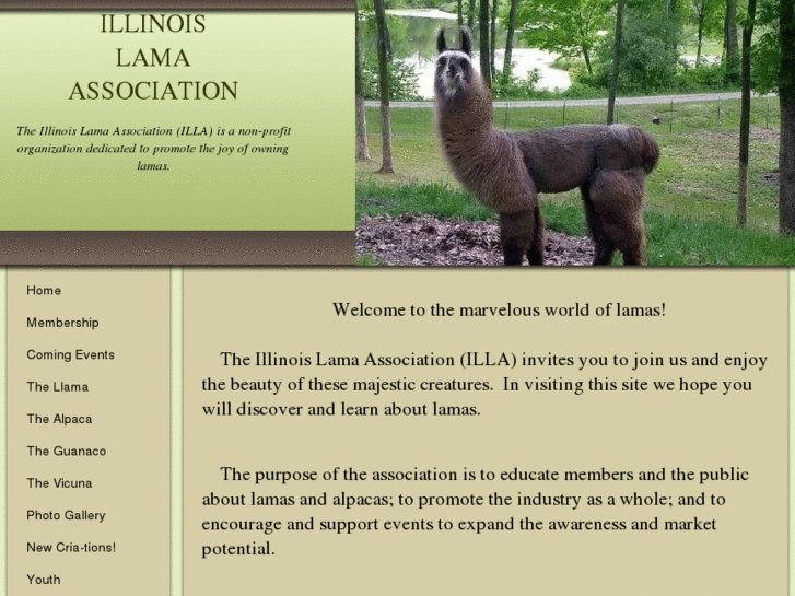 www.illinoisllamas.org