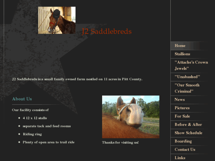 www.j2saddlebreds.com