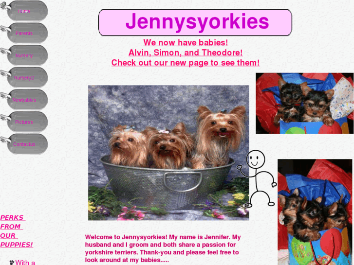 www.jennysyorkies.com