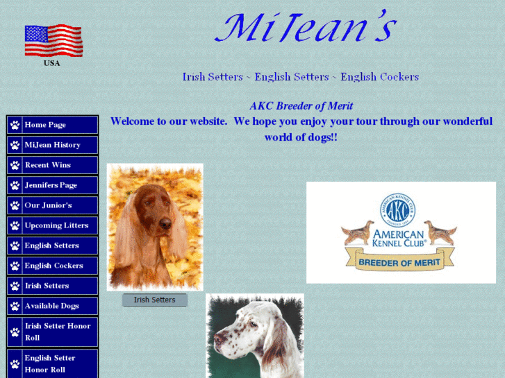 www.mijeanirishsetters.com