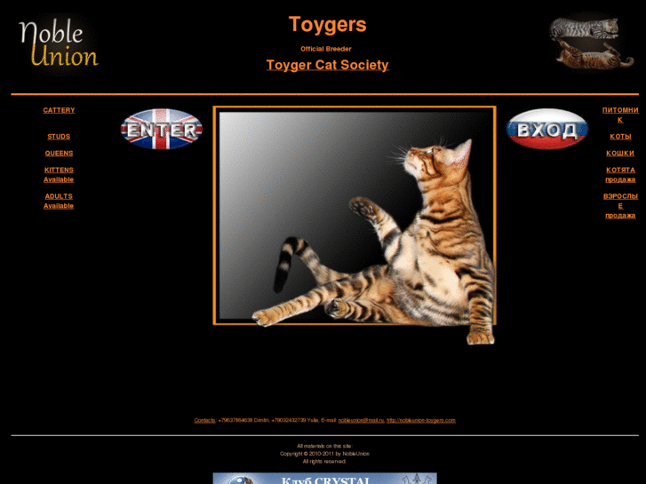 www.nobleunion-toygers.com