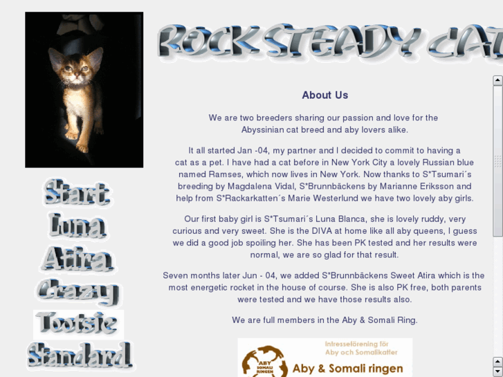 www.rocksteadycats.com