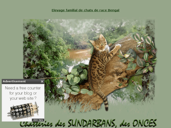 www.sundarbans-bengal.com