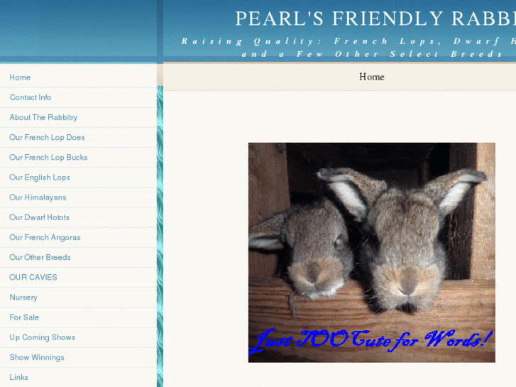 www.pearlsfriendlyrabbits.com