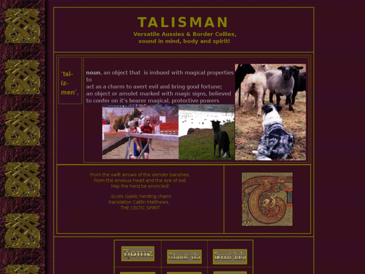 www.talismanaussies.com