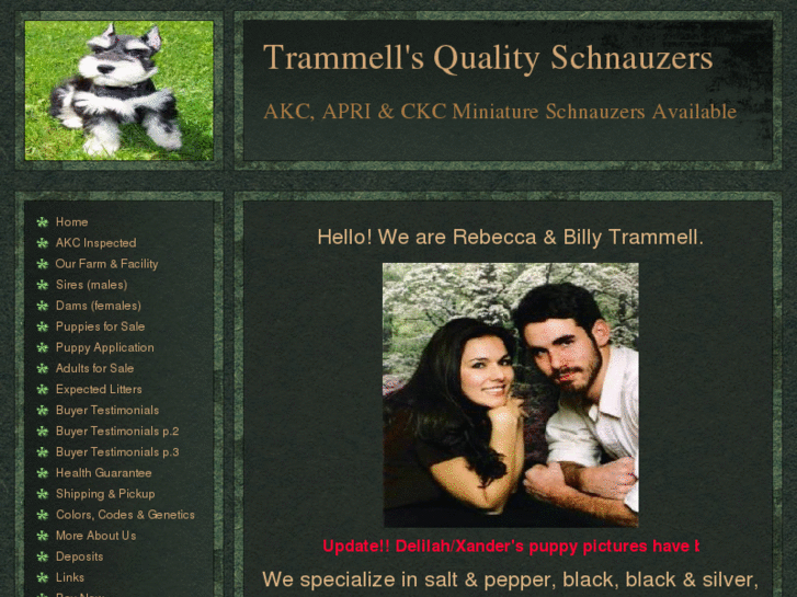 www.trammellsqualityschnauzers.com