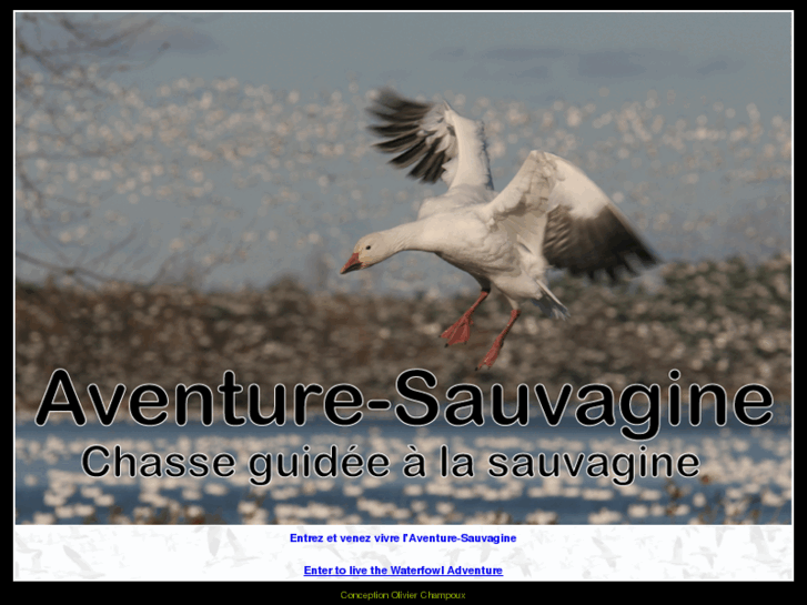 www.aventure-sauvagine.com