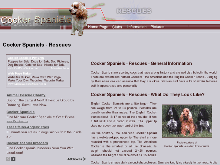 www.cocker-spaniels-rescues.com